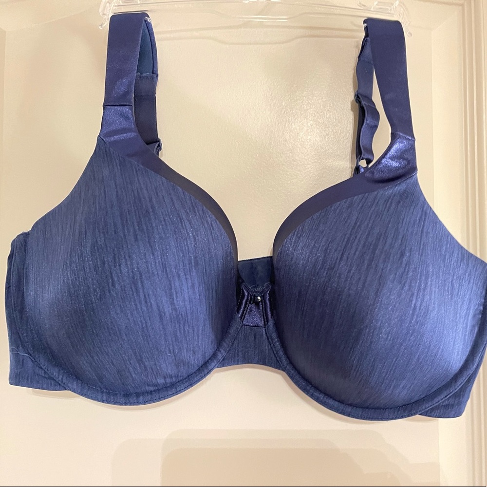 Vanity Fair Blue Bra
